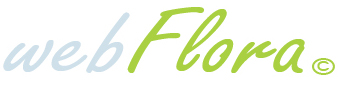 Партнерки разных магазинов - Партнёрская программа по продаже цветов Интернет-магазина Webflora
